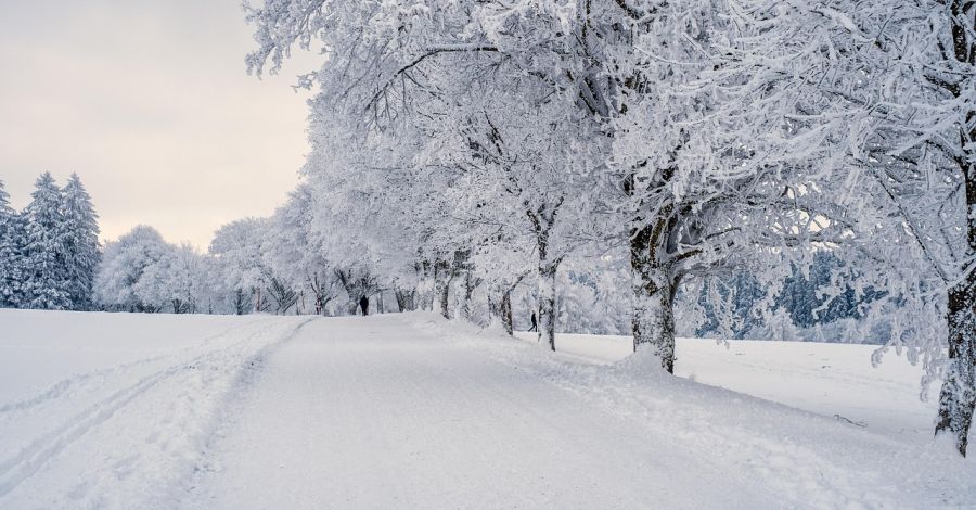 Aki teheti, annak érdemes sétálnia a hóban